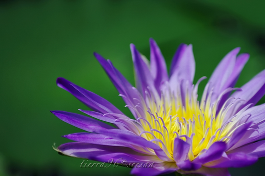 100612seesaa475_090816.jpg