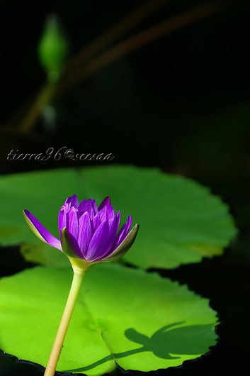 100614seesaa410_090816.jpg