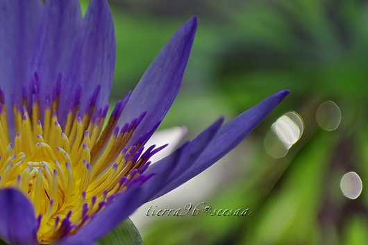 100615seesaa517_090816.jpg