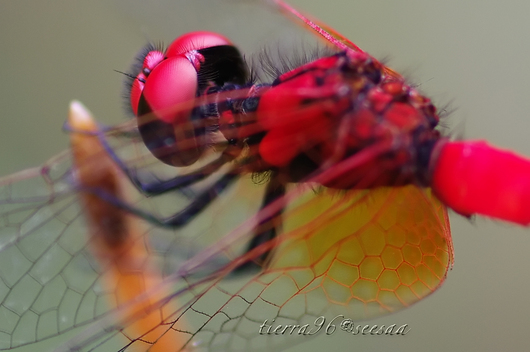 100810seesaa999_100731.jpg
